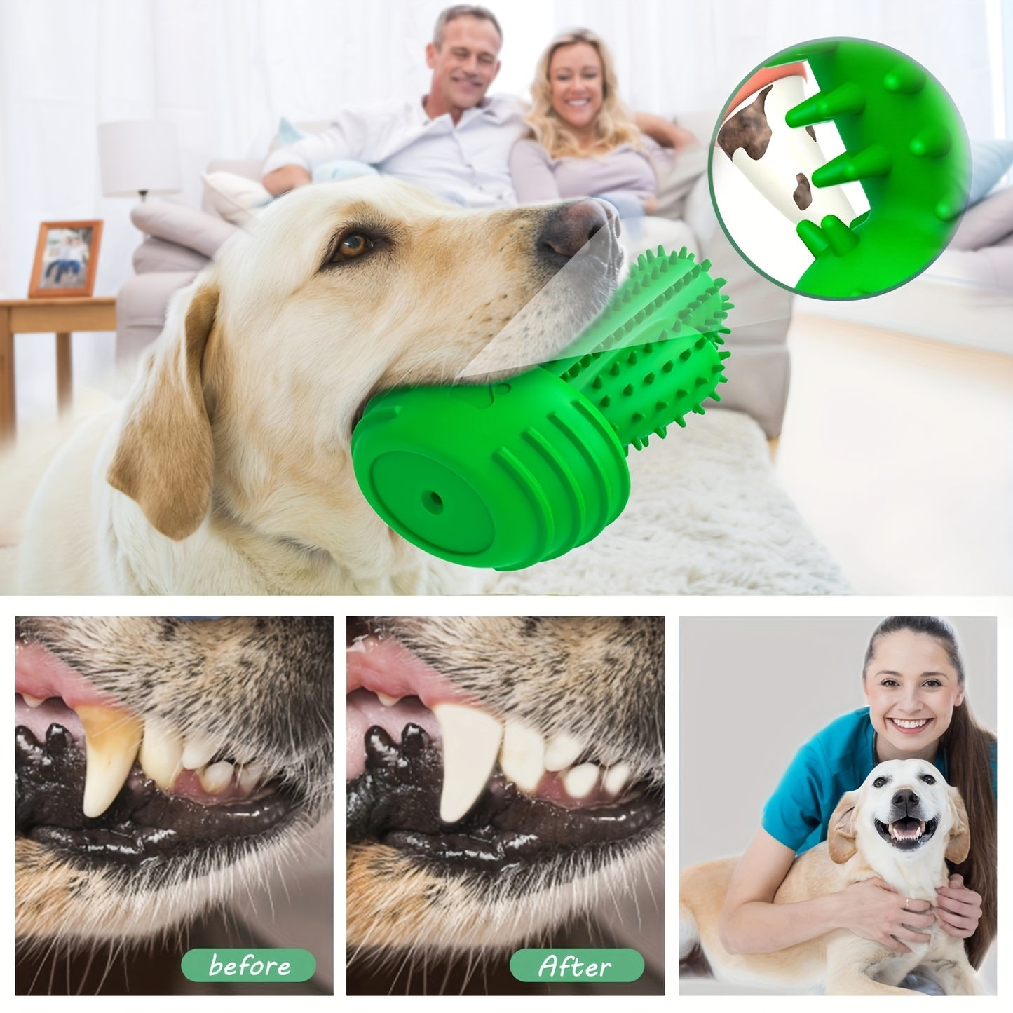 Durable rubber cactus-shaped dog chew toy, suitable for all dog breeds.