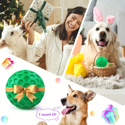 Two-pack of durable dog chew toys with sound function
