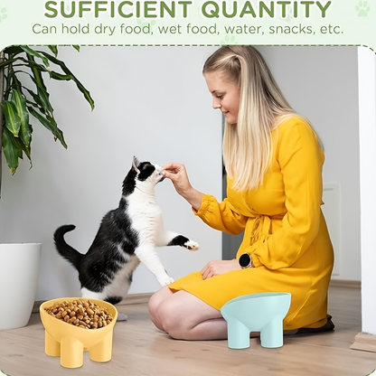 A set of 4, plastic, heightened, tilting heightened pet food and water bowls.
