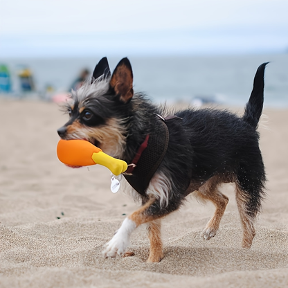 1 Chicken Leg Dog Toy - Durable, non-toxic rubber material suitable for all breeds