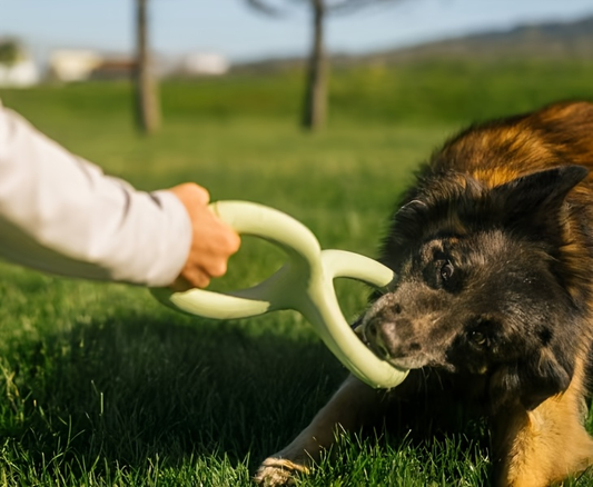 Green natural rubber tug-of-war toy - suitable for adult dogs and puppies.